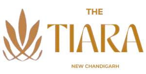 chirag 's logo (1)