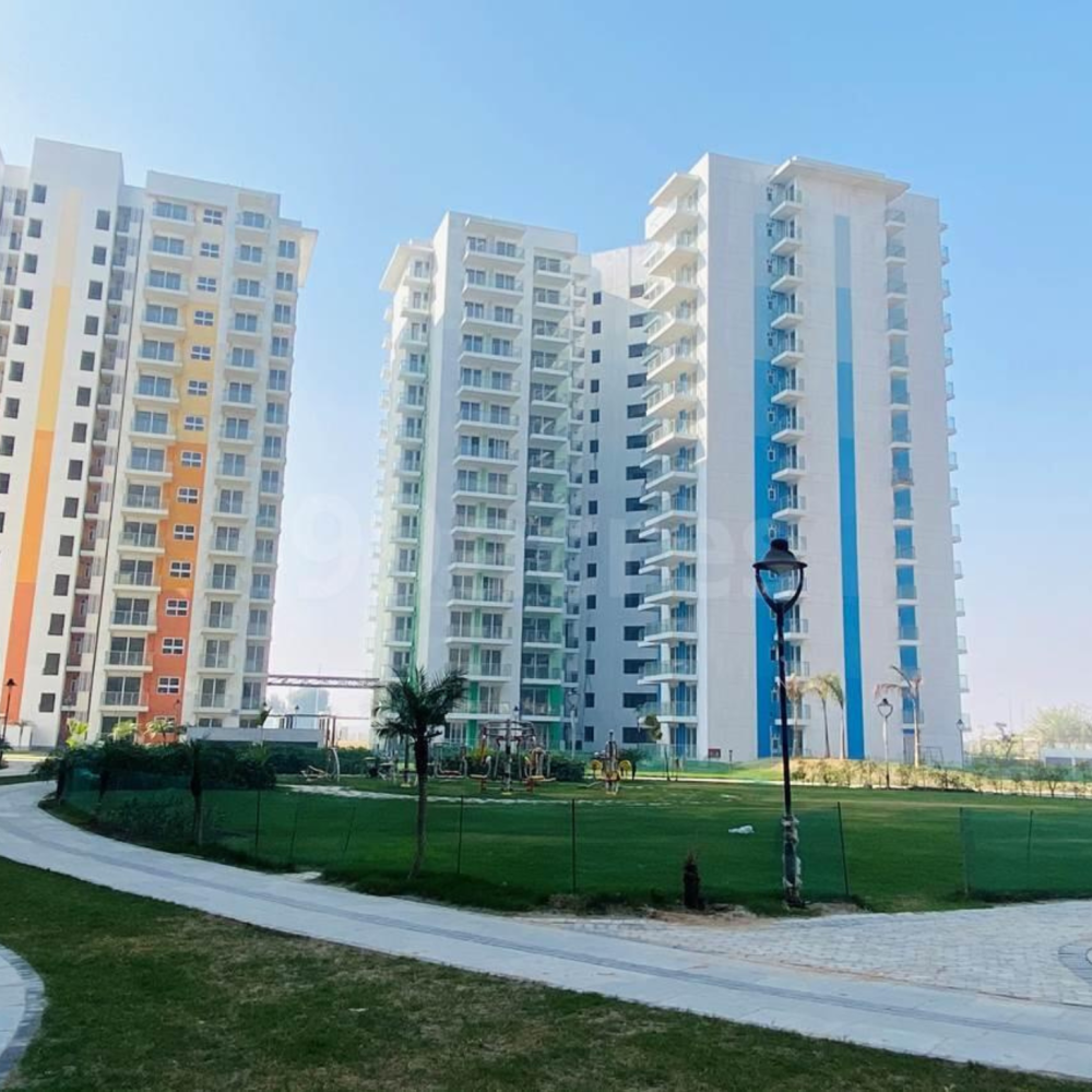 chirag infra (4)