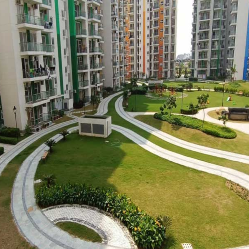 chirag infra (5)